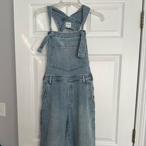 Aerie . Overalls